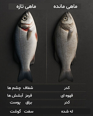 تشخیص تازگی ماهی